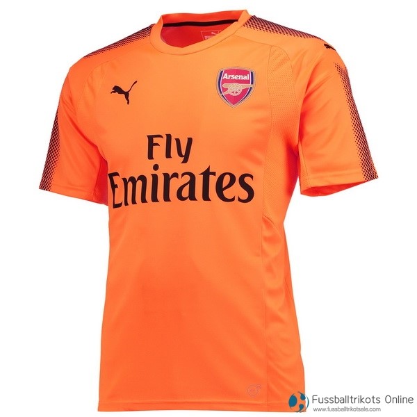 Arsenal Trikot Torwart Auswarts 2017-18 Fussballtrikots Günstig